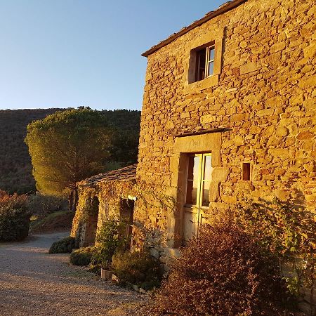 كورتونا Locanda San Martino A Bocena المظهر الخارجي الصورة