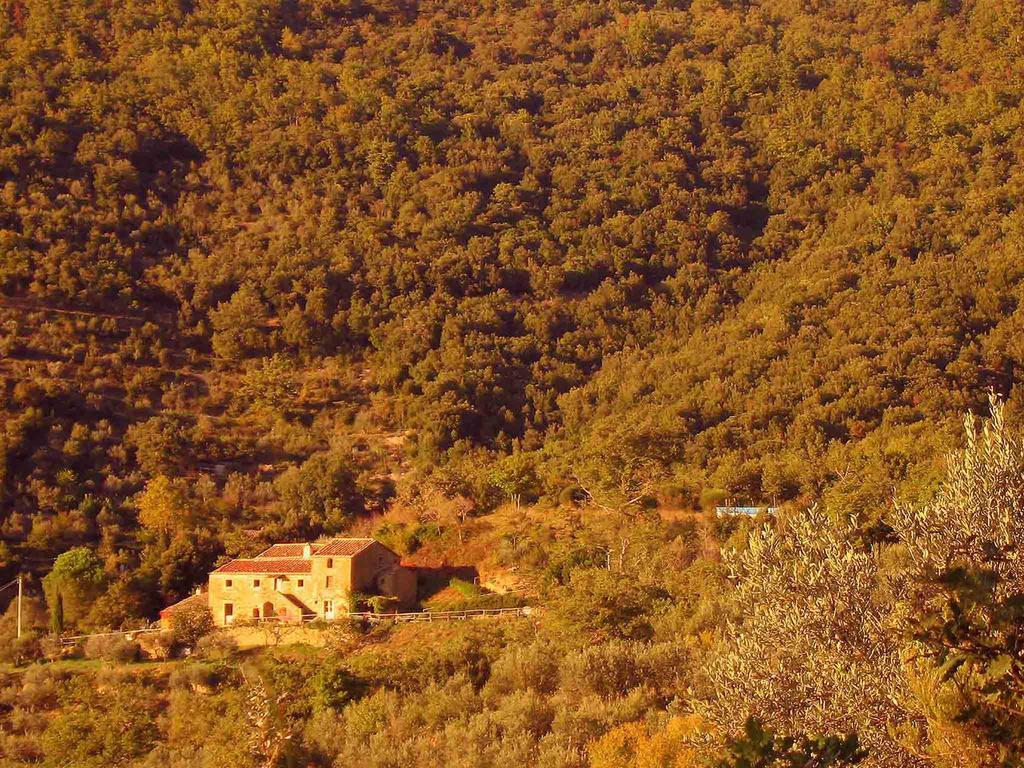 كورتونا Locanda San Martino A Bocena المظهر الخارجي الصورة