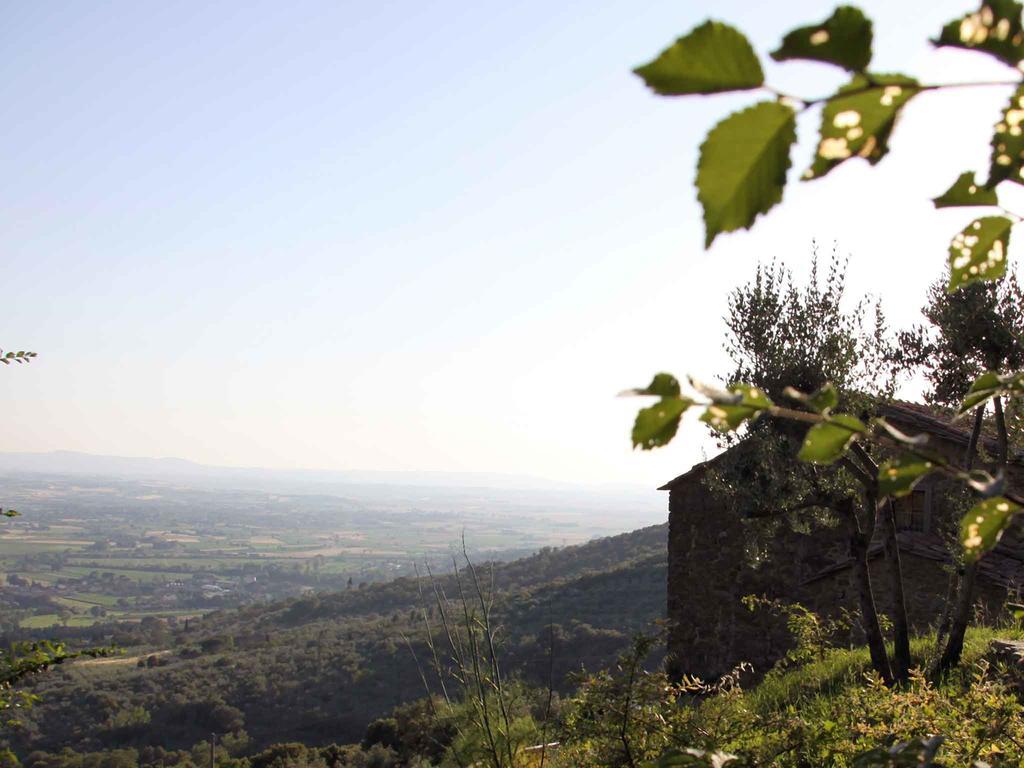 كورتونا Locanda San Martino A Bocena المظهر الخارجي الصورة