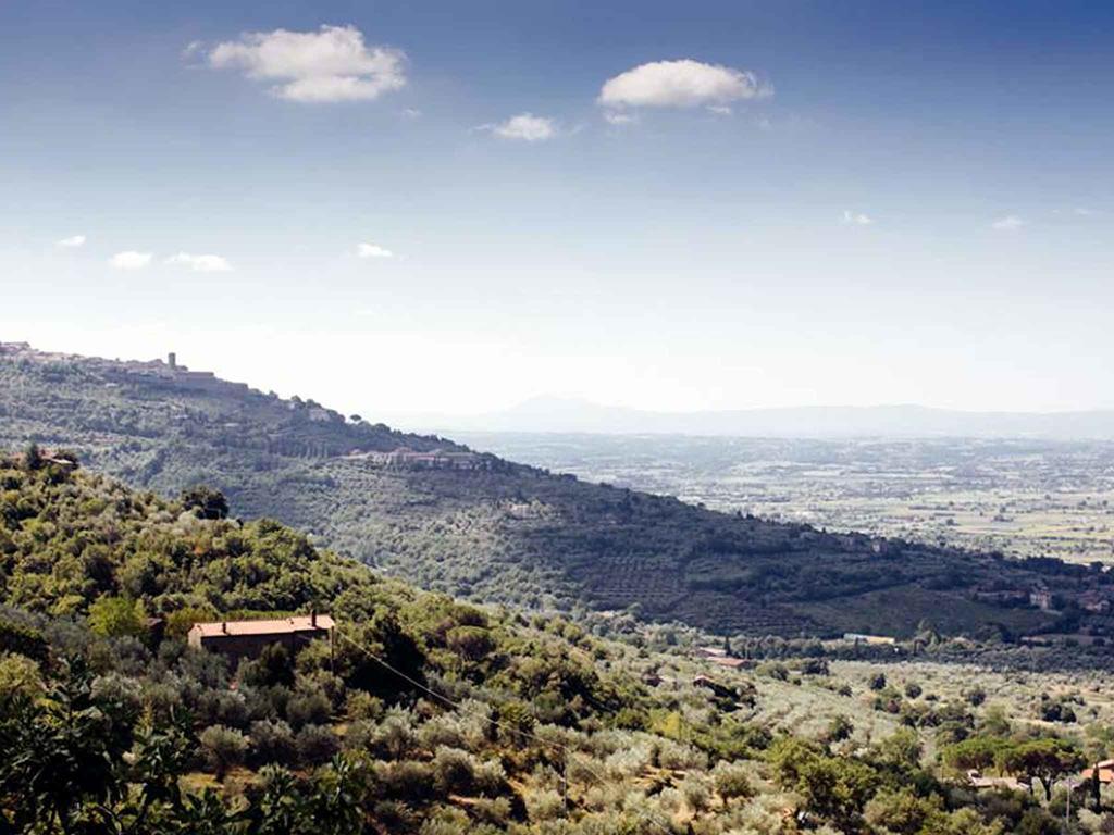 كورتونا Locanda San Martino A Bocena المظهر الخارجي الصورة